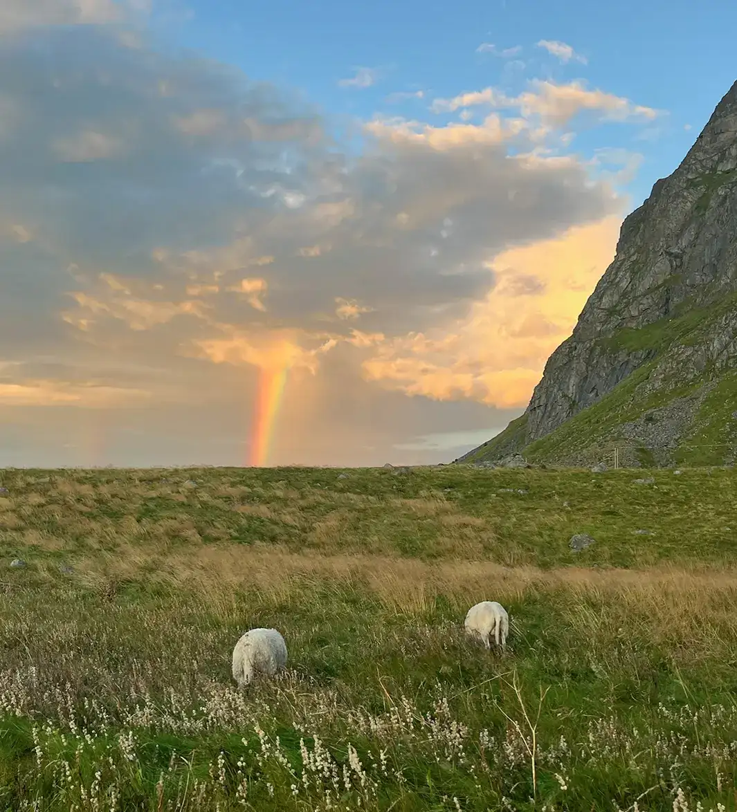 Escaping to the Wild